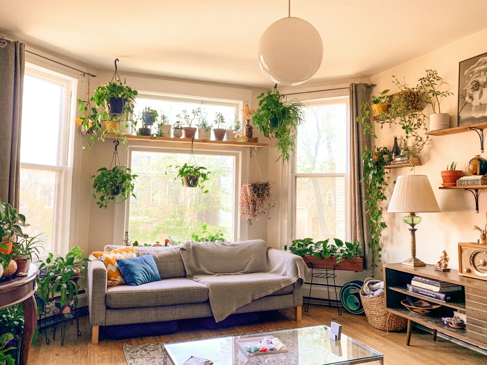 A calm, light-filled living room with indoor plants