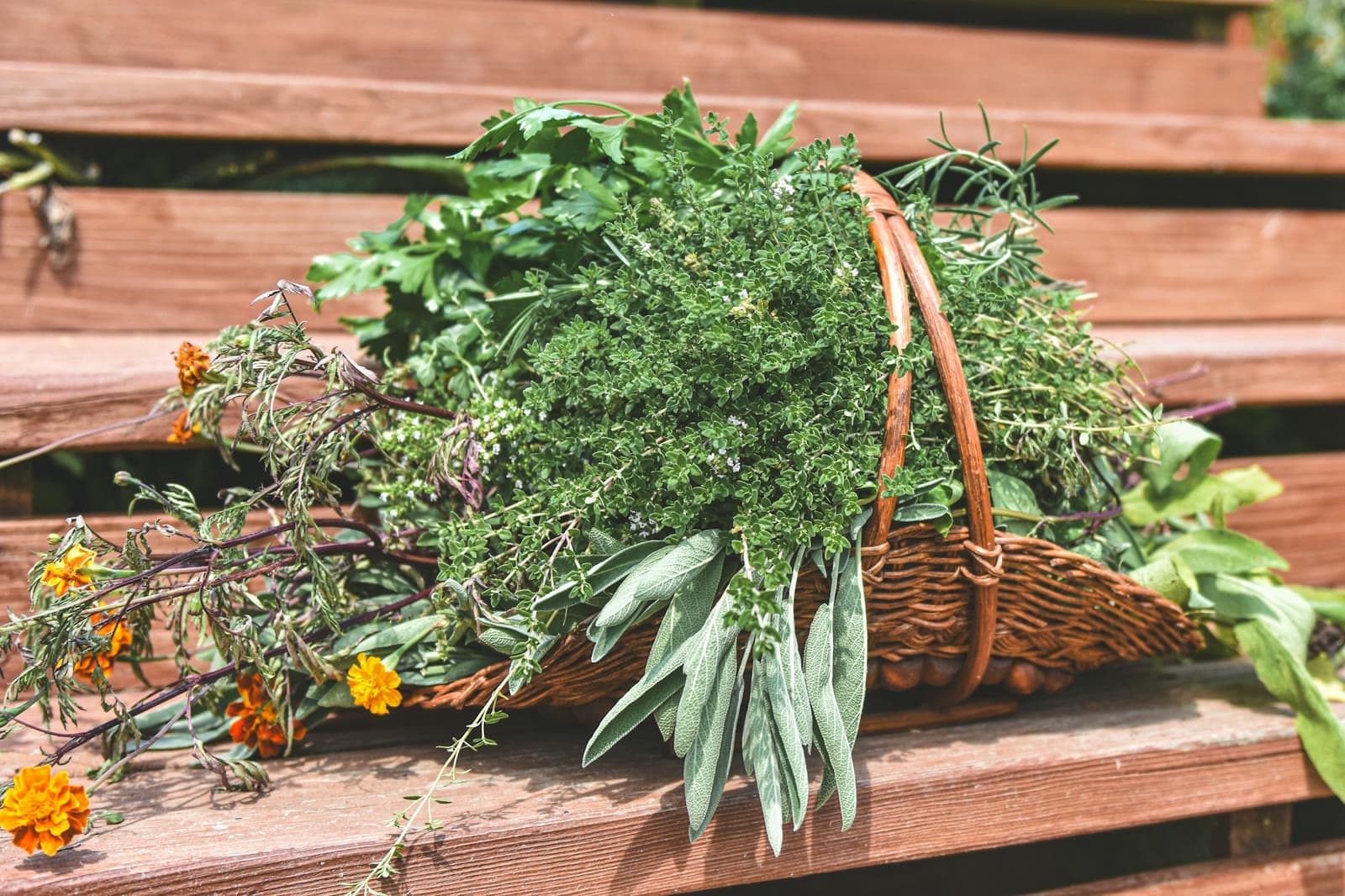 A basket of freshly gathered herbs and flowers on timber steps