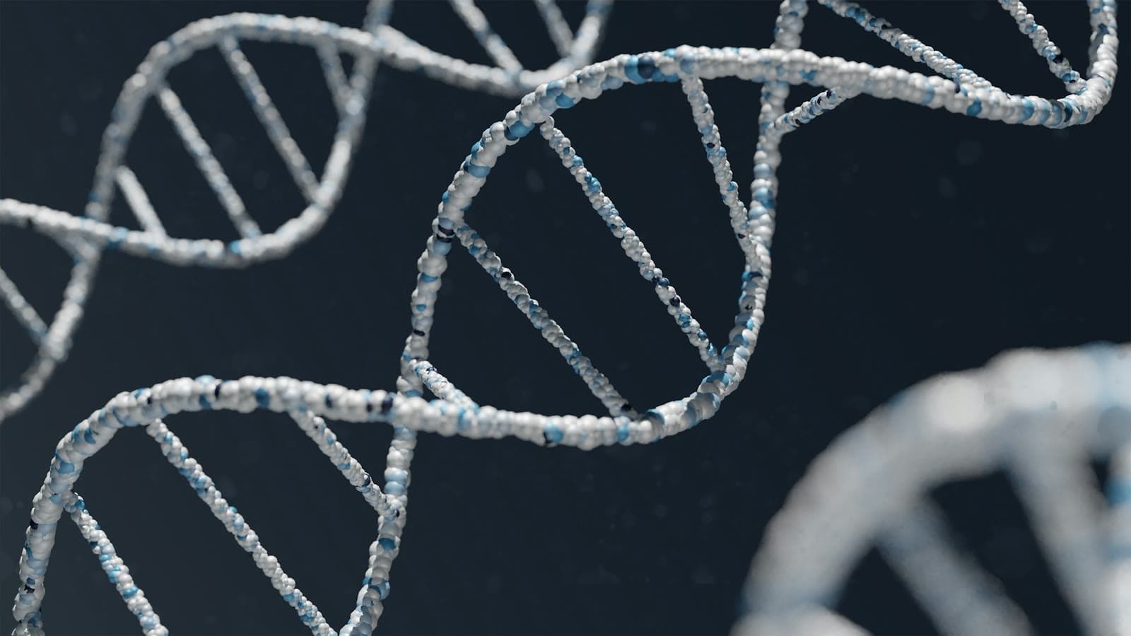 Illustration of a DNA double helix